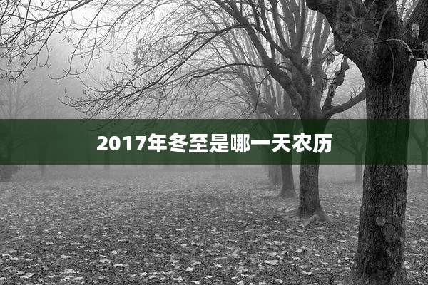 2017年冬至是哪一天农历