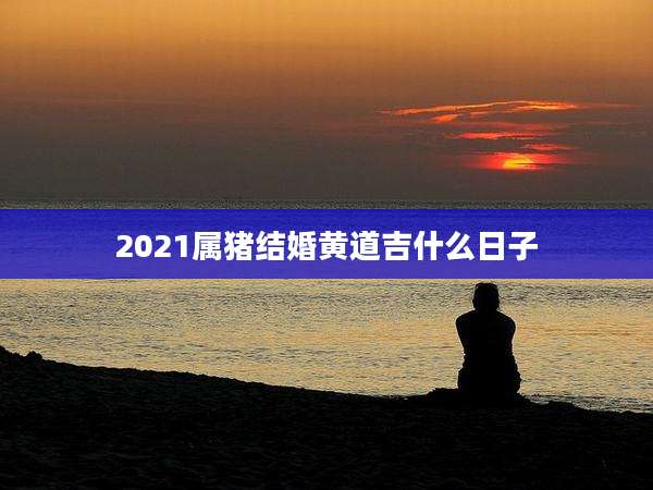 2021属猪结婚黄道吉什么日子