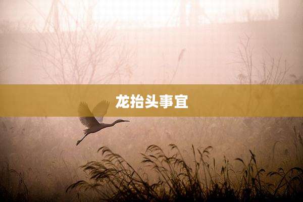 龙抬头事宜