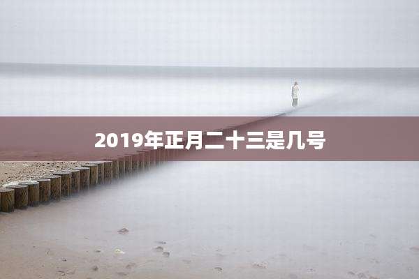2019年正月二十三是几号