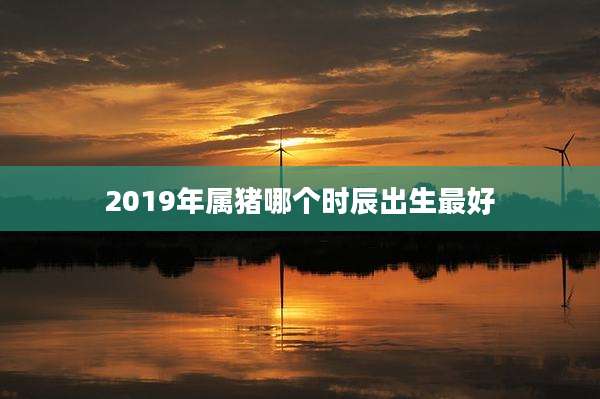 2019年属猪哪个时辰出生最好