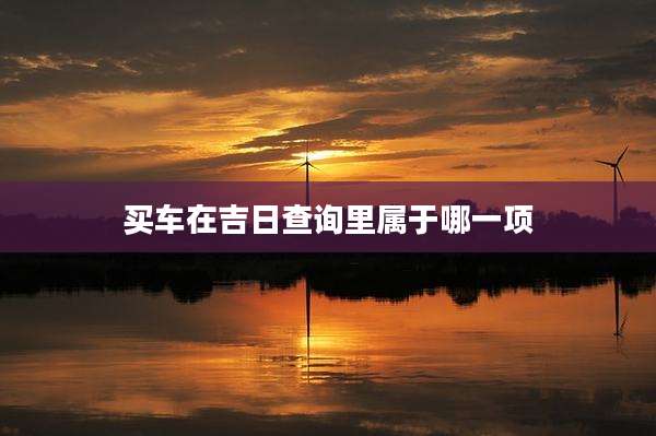 买车在吉日查询里属于哪一项