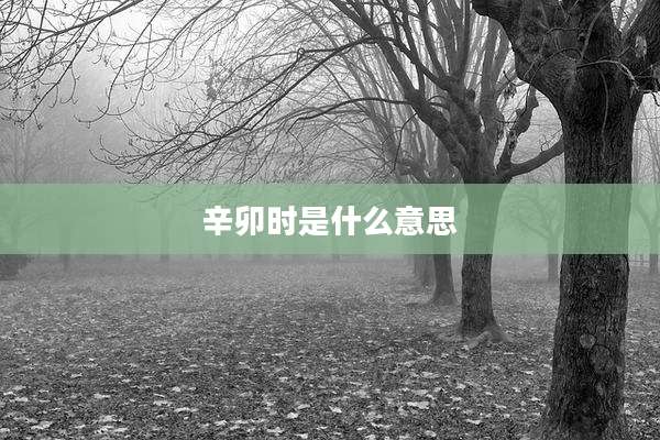 辛卯时是什么意思