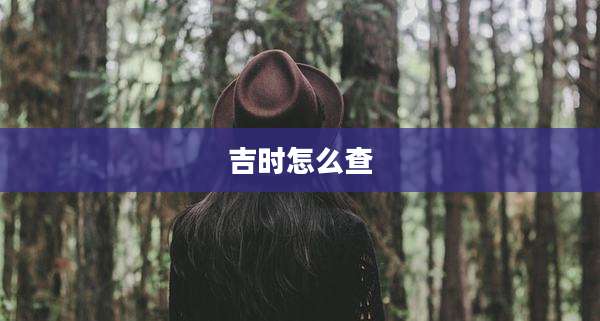 吉时怎么查