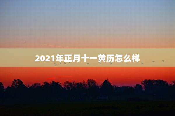 2021年正月十一黄历怎么样
