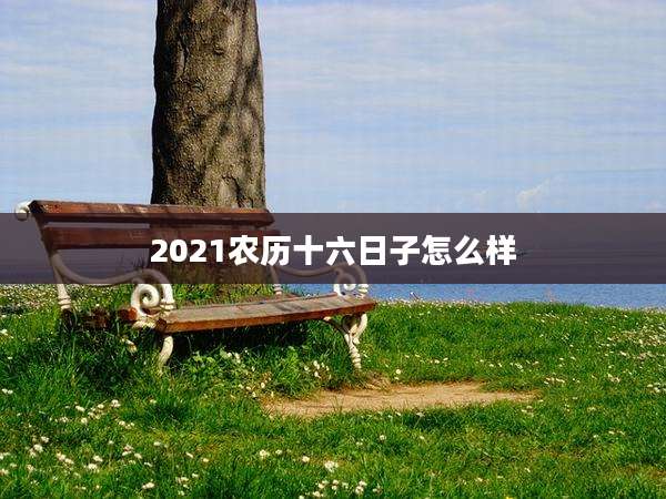 2021农历十六日子怎么样
