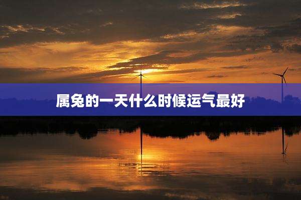 属兔的一天什么时候运气最好