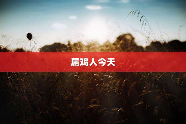 属鸡人今天