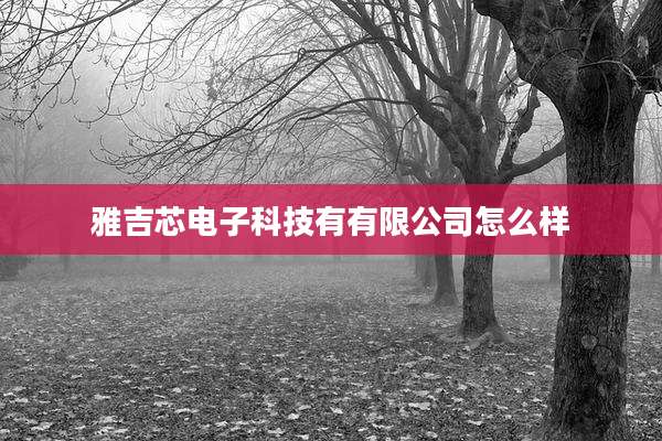 雅吉芯电子科技有有限公司怎么样