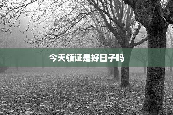 今天领证是好日子吗