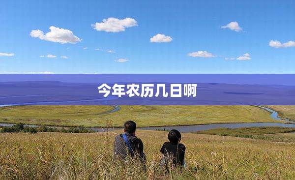 今年农历几日啊