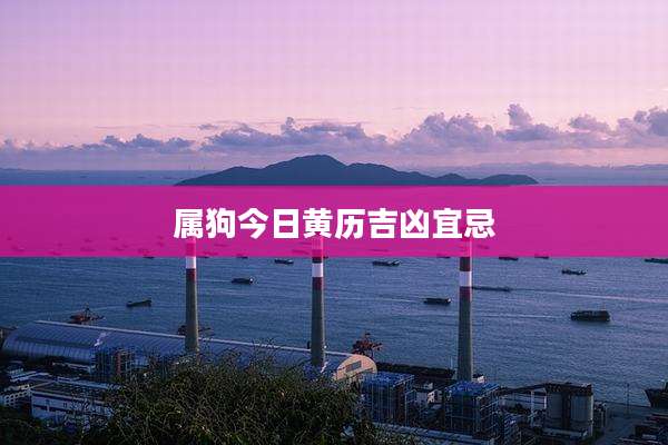 属狗今日黄历吉凶宜忌
