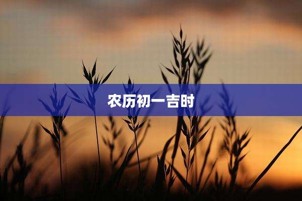 农历初一吉时