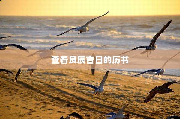 查看良辰吉日的历书