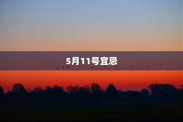 5月11号宜忌