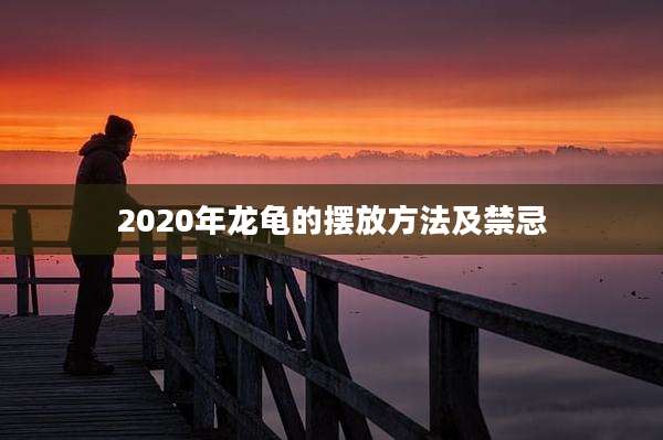 2020年龙龟的摆放方法及禁忌