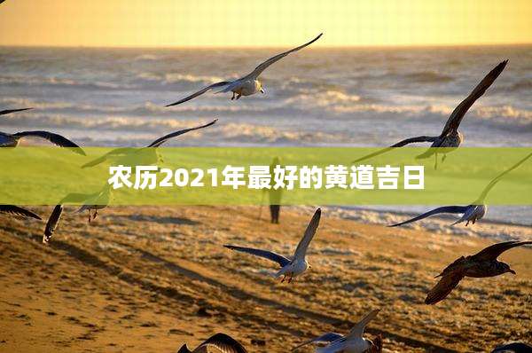 农历2021年最好的黄道吉日