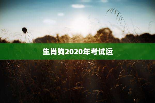 生肖狗2020年考试运