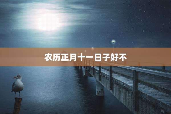 农历正月十一日子好不