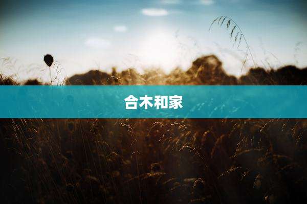 合木和家