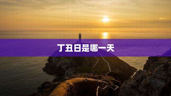 丁丑日是哪一天