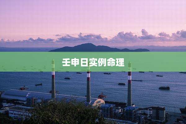 壬申日实例命理