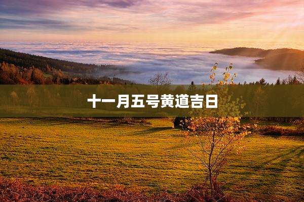 十一月五号黄道吉日