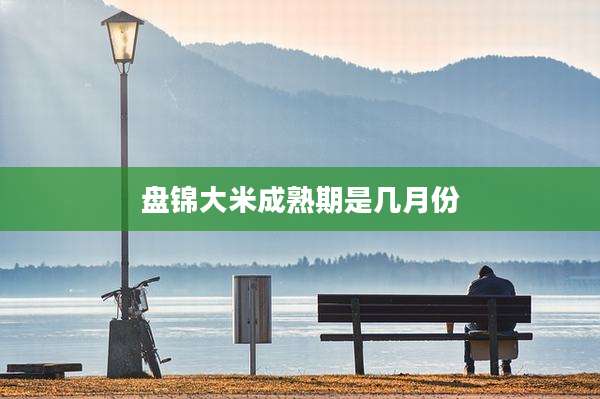 盘锦大米成熟期是几月份