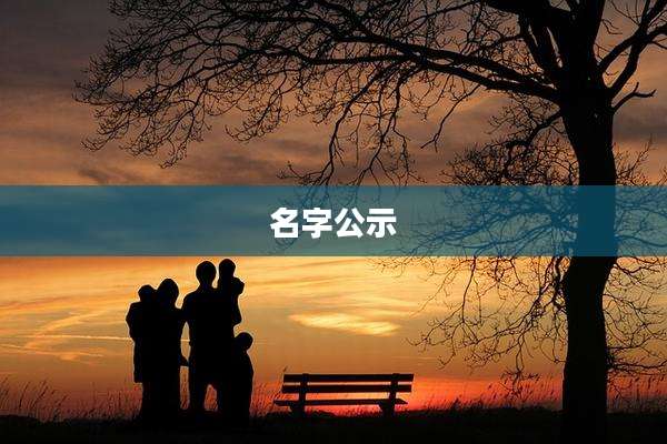 名字公示