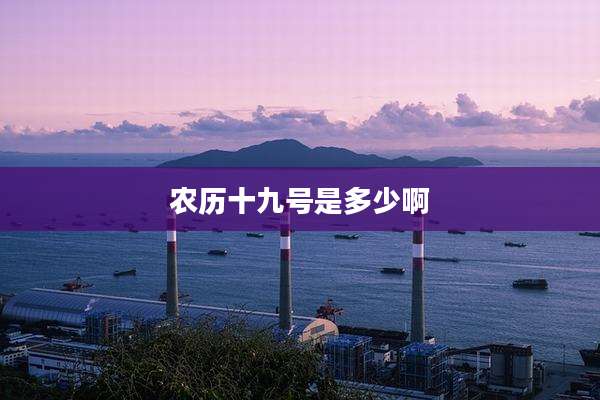 农历十九号是多少啊