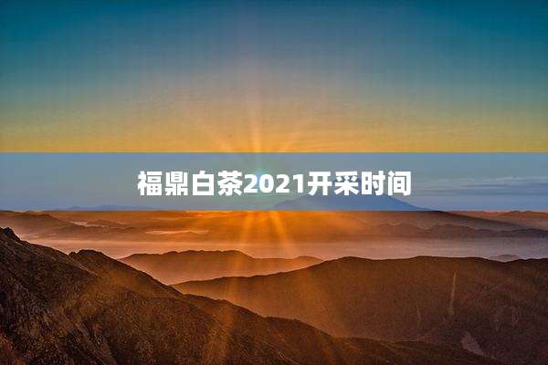 福鼎白茶2021开采时间