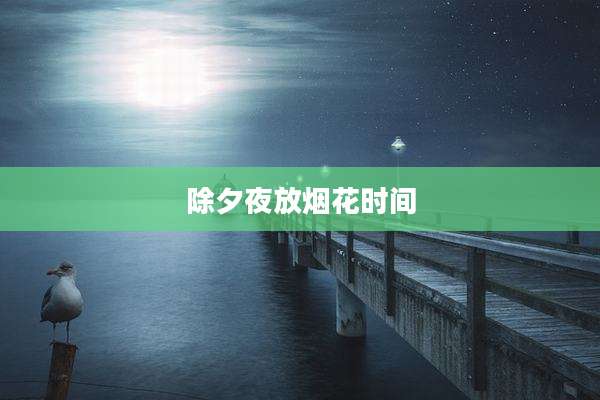 除夕夜放烟花时间