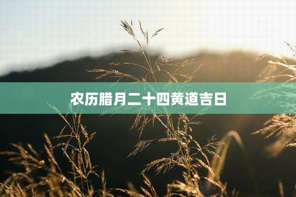 农历腊月二十四黄道吉日