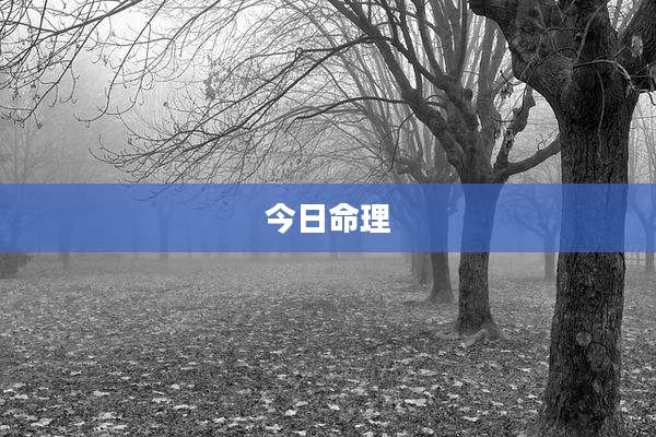 今日命理