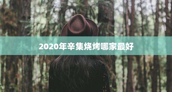 2020年辛集烧烤哪家最好