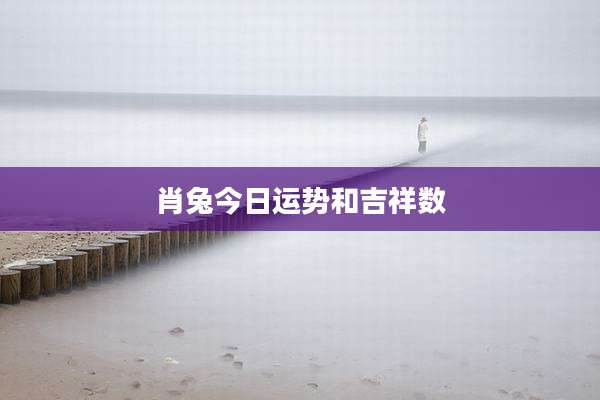 肖兔今日运势和吉祥数