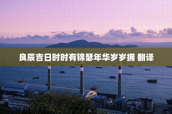 良辰吉日时时有锦瑟年华岁岁拥 翻译