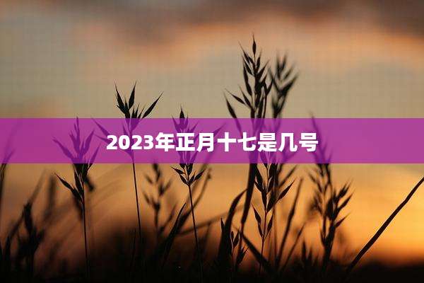 2023年正月十七是几号