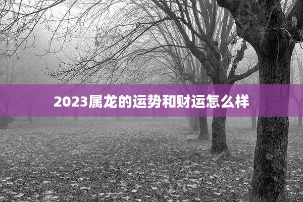 2023属龙的运势和财运怎么样