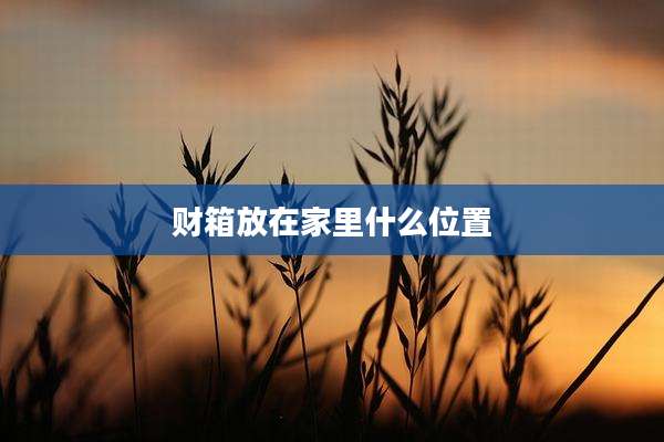 财箱放在家里什么位置