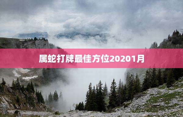 属蛇打牌最佳方位20201月