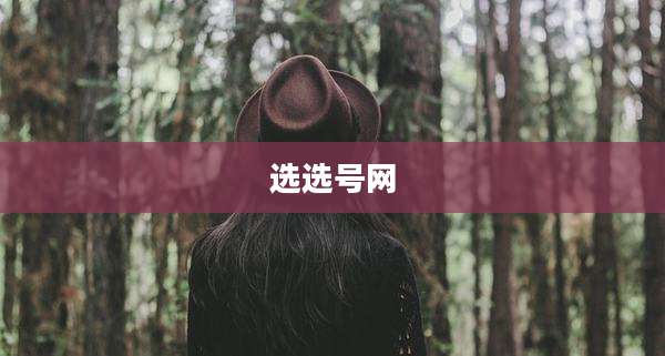 选选号网