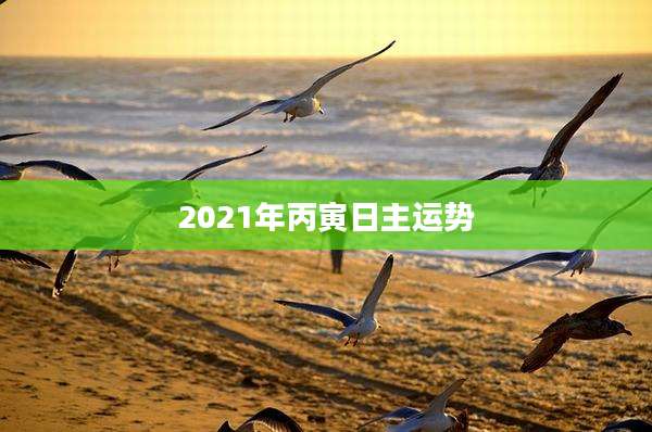 2021年丙寅日主运势
