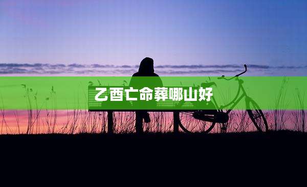 乙酉亡命葬哪山好