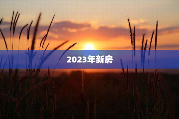 2023年新房