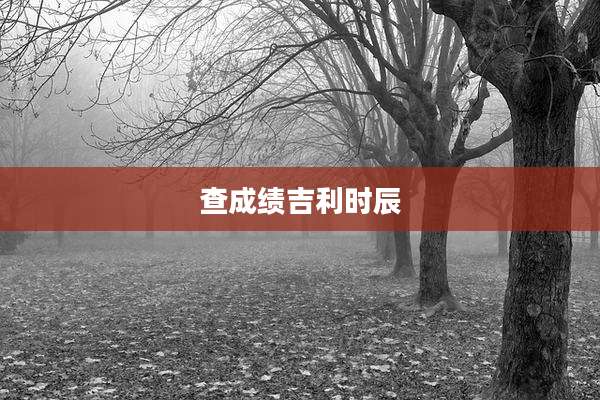 查成绩吉利时辰