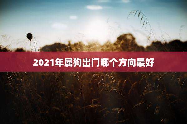 2021年属狗出门哪个方向最好