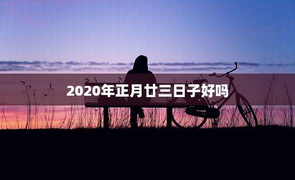 2020年正月廿三日子好吗