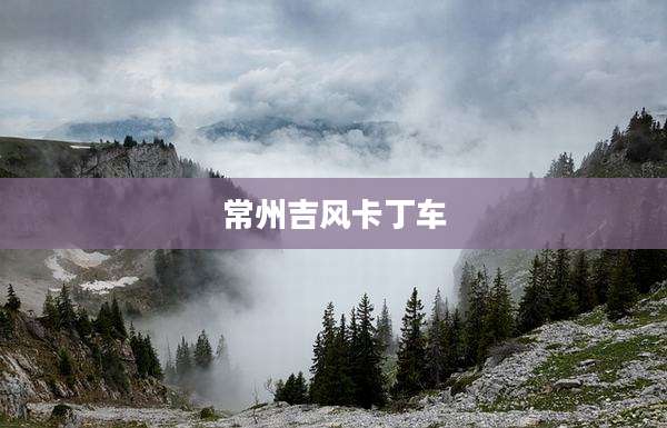 常州吉风卡丁车