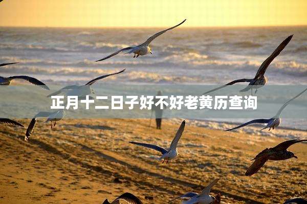 正月十二日子好不好老黄历查询